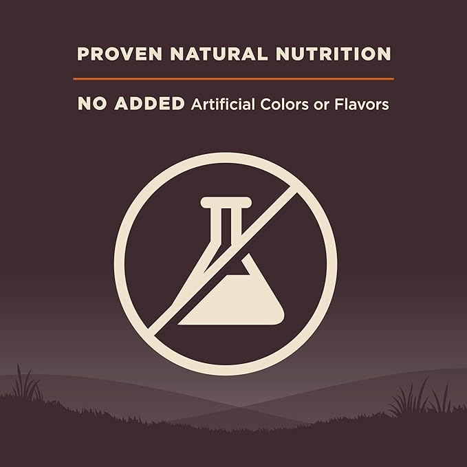 Wellness CORE Adult Dry Dog Food, Grain Free Kibble, Natural, High Protein, Turkey and Chicken Recipe, 4 lb Bag