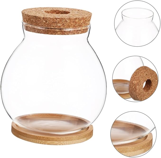 Small Hydroponic Glass Fish Tank with Lid, Mini Betta Fish Bowl 10x11cm with Mat for Desktop Aquarium Terrarium Decor