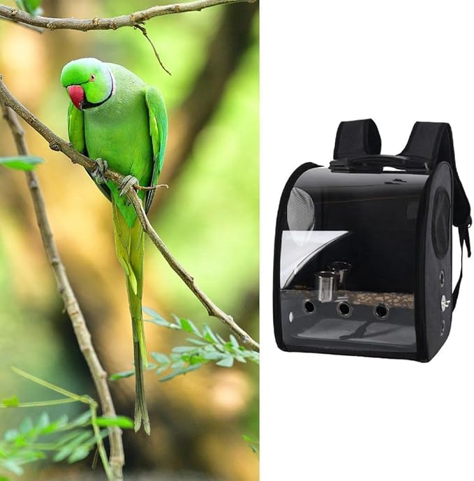 Compact Carrier for Birds with Clear View and Travel Features, Black
