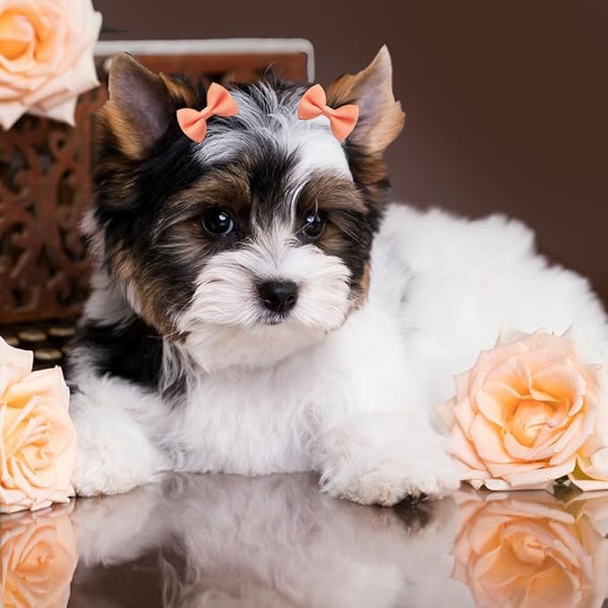 100Pcs(60 Colors) Pure Color Dog Bows with Rubber Bands Small Handmade Topknot Hair Bows for Doggie Puppy Cat Bunny Yorkie Pet Hair Grooming Accessories