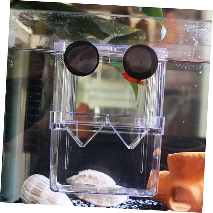 POPETPOP Aquarium Fish Breeding Incubator Box Floating Hatchery for Fish Large Acrylic Cover