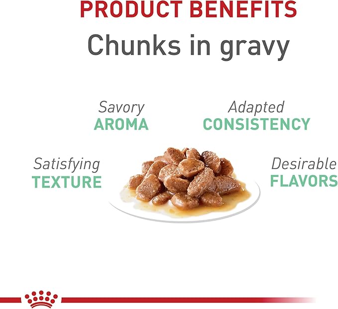 Royal Canin Feline Care Nutrition Digestive Care Adult Chunks in Gravy Cat Food, 3 oz (Pack of 12)