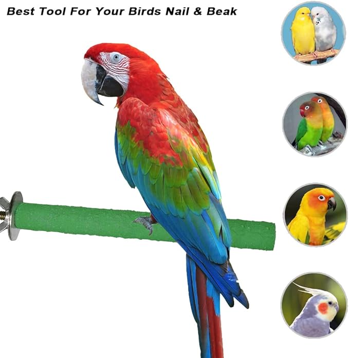 10 PCS Bird Perch Stand Toy, Colorful Wood Parrot Perch Stand, Natural Stand Paw Grinding Stick Exercise Toys, Bird Cage Accessories for Budgies, Finches, Parakeet, Small Birds