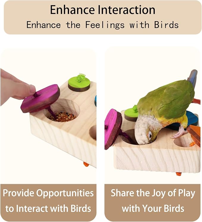 Birdie Puzzle Feeder - Interactive Foraging Toy for Parrots, Parakeets, Cockatiels, Conures | Mental Enrichment & Stimulation Game to Prevent Boredom (Colorful)