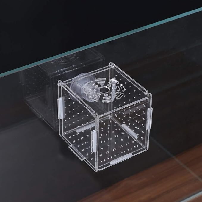 Fish Breeding Box- Box Hatchery Incubator Aquarium Fish Breeding Boxes Divider Hatching Boxes Accessory for Small Shrimp Clownfish Guppy-Small Suction Cup