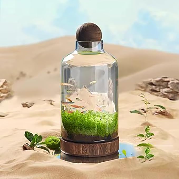 Glass Aquarium, Miniature Landscape Terrarium Glass Fish Tank with Wooden Base, Modern Betta Fish Tank, Small Aquarium for Home and Office Decoration,S