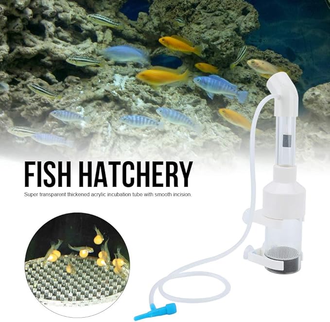 HEEPDD Fish Egg Incubator, 50mm Aquarium Cichlids Hatchery Box, Breeding Isolation Tank for Fish