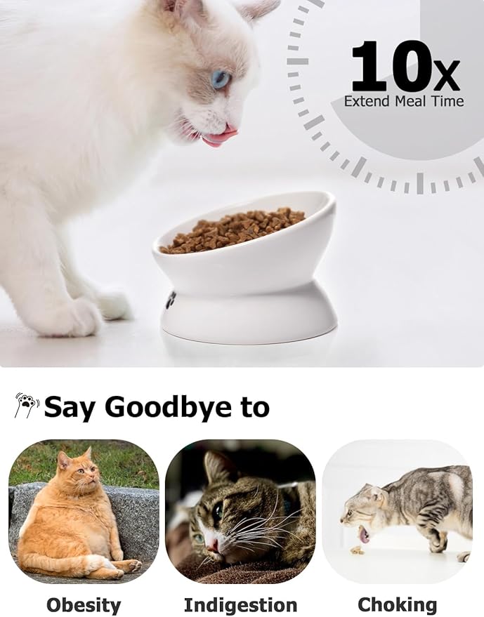 Y YHY Cat Bowl Anti Vomiting, Raised Food Bowls, Tilted Elevated Bowl, Ceramic Pet Food Bowl for Flat Faced Cats, Small Dogs, Protect Pet's Spine, Dishwasher Safe (5 Inches, White)
