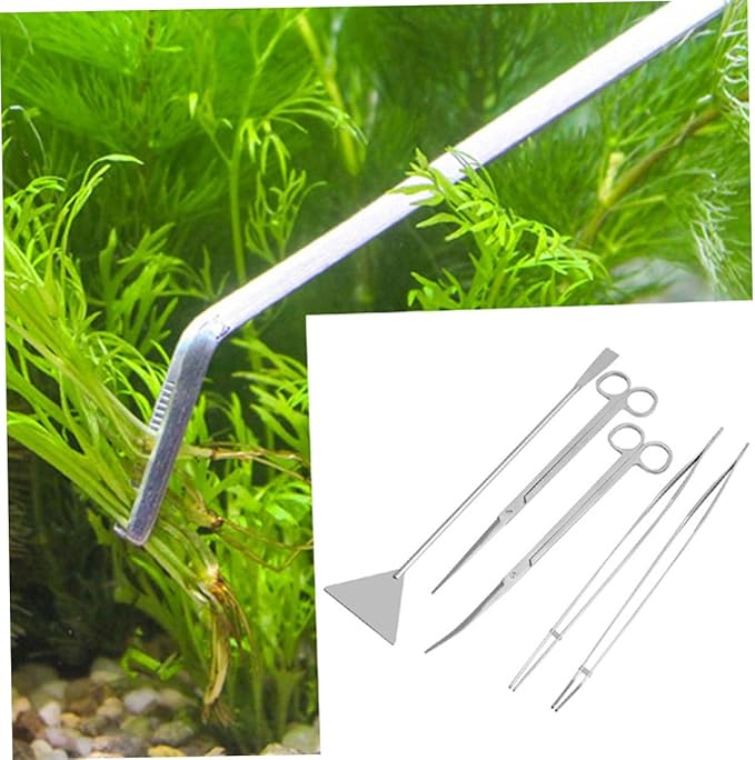 BESPORTBLE 6pcs Stainless Steel Aquarium Tools Fish Tank Scissors Plant Tweezers Spatula for Easy Aquatic Plant Maintenance Freshwater Environments