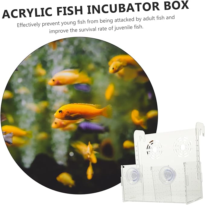 Milisten Aquarium Fish Breeding Box Acrylic Fish Tank Divider Suction Cups Lightweight Portable Safe