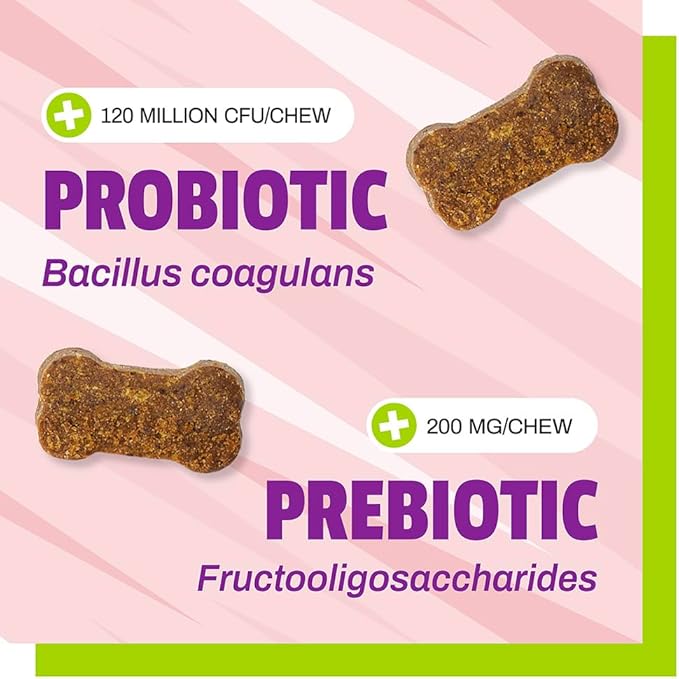 Pet Naturals Probiotics for Dogs – 60 Soft Chews, Dog Probiotic Chews for Digestive & Gut Health Support, 120M CFUs + Prebiotics, Immune Support for Occasional Upset Stomach, Duck Flavor, All Breeds