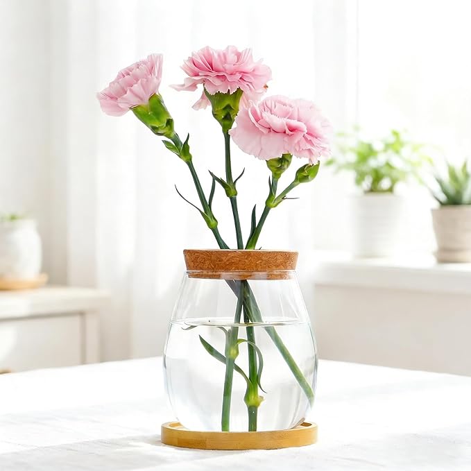 0.5 Gallon Fish Bowl Betta Fish Tank Glass Aquarium with Wood Lid & Bamboo Stand – Hydroponic Plants Planter, Glass Vase, Gift