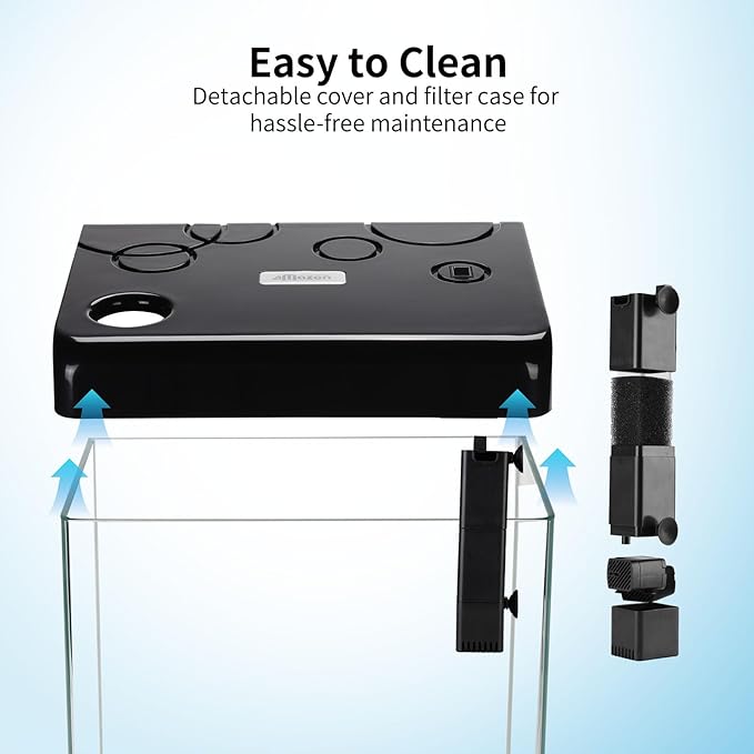 Betta Fish Tank,5 Gallon Glass Aquarium Starter Kit, Small Fish Tank with Filter and Light.