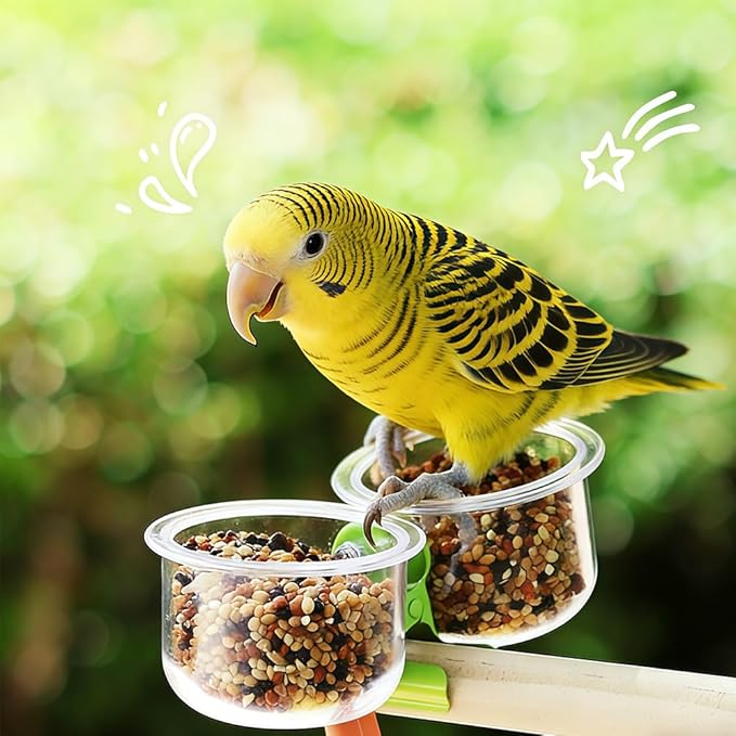 2 Pack Bird Feeding Cup Plastic Feeder with Clamp Holder for Small Size Birds Parakeet African Greys Conure Cockatiels Budgies Chinchilla
