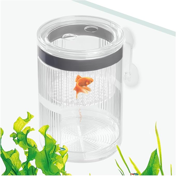 La La Pet Floating Fish Breeding Isolation Box with Suction Cups 270°Flowing Water Propagation Separate Parent and Baby Fishes Transparent Hatching Boxes Incubator for Tanks Small