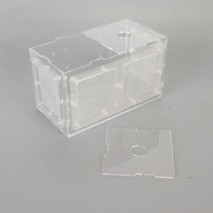 Fish Breeding Isolation Box | Transparent Mesh Side Aquarium Incubator | Guard Small Fish/Eggs | Acrylic Lid & Adjustable Hook | for Fish Tank Hatching (17 * 9 * 10CM)