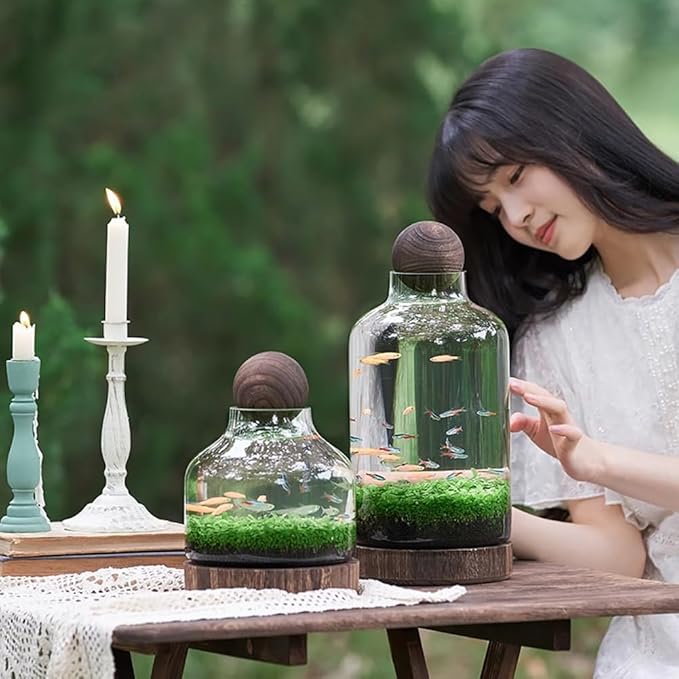 Glass Aquarium, Miniature Landscape Terrarium Glass Fish Tank with Wooden Base, Modern Betta Fish Tank, Small Aquarium for Home and Office Decoration,S