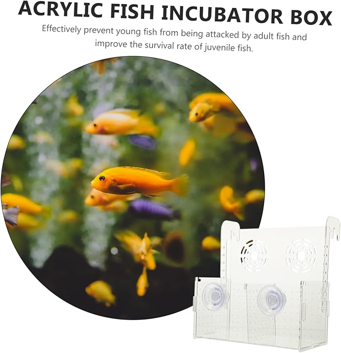 KESYOO Fish Breeding Box Cups Acrylic Isolation Tank for Fish Tank Lightweight and Portable Separator Breeding Accessory