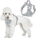 BARKBAY Dog Harness No Pull with ID Tag Pocket - Heavy Duty, Reflective, Easy Control for Large Dogs(Grey,XS)