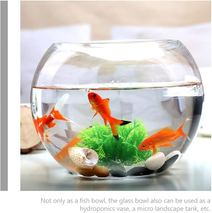 Round Glass Fish Bowl Clear Desktop Aquarium for Small Fish Hydroponics Decor for Home Office Garden