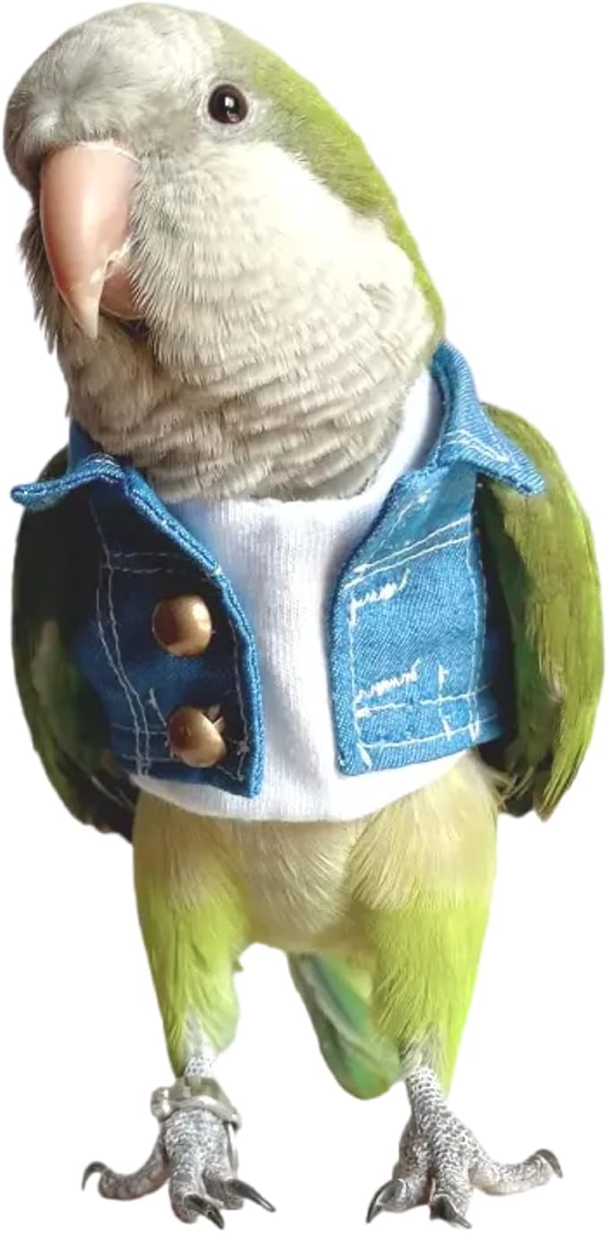 Bird Costume Bird Diaper Flight Suit Bird Jeans Fake Two Pieces Bird Clothes Cosplay Photo Prop for Parrots Lovebird Parakeet Cockatiel Small Animals Apparel (with Diaper,Necked Parakeet)
