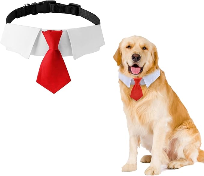 Funny Blonde Dog Wigs and pet Collar with red tie Set Large Dog Costume for Halloween Cat and Small Animal Costume