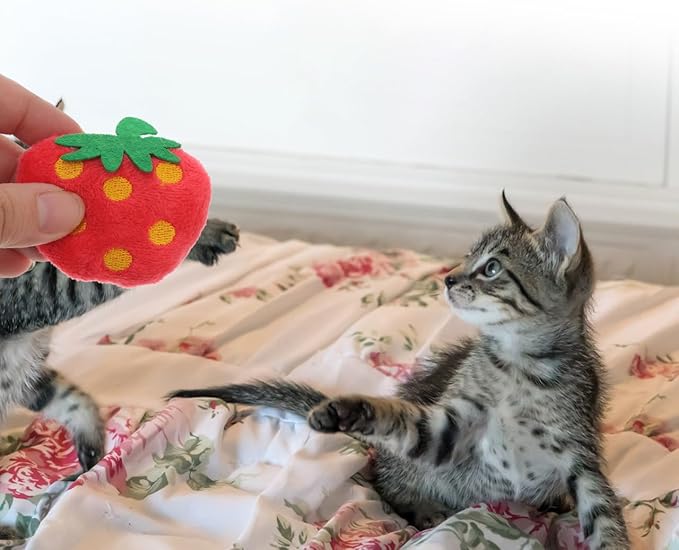 10 Pack Strawberry Cat Toy - Interactive Plush Chew Toys for Indoor Cats and Small Dogs - Cute Fruit Catnip Scented Kitty Teething Supplies for Valentine's Day Pet Gift