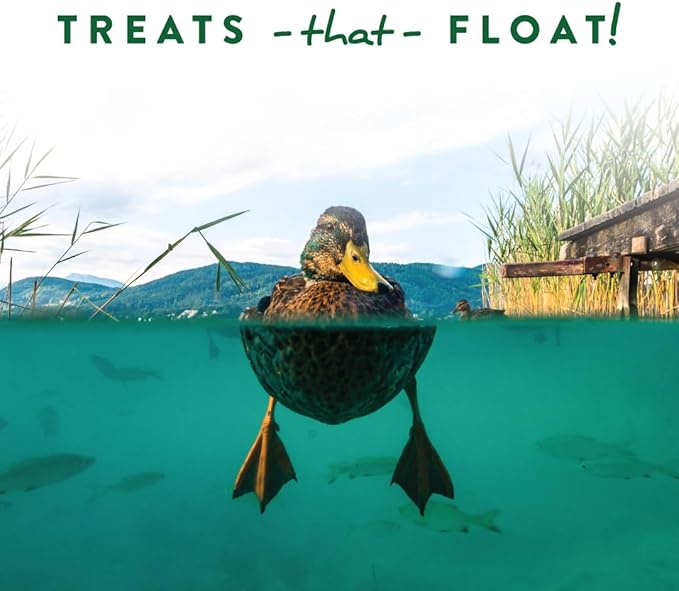 Manna Pro Duck Discs, Floating Duck Treats with 10% Protein, Made with Black Soldier Fly Larvae, Kelp & Alfalfa, Treats for Ducks & Waterfowl, 16 oz