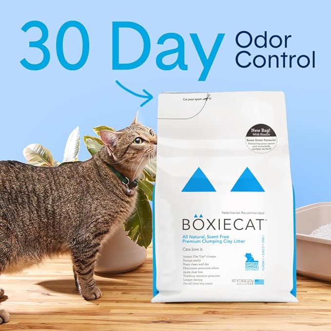 Boxie Unscented 30 Day Odor Control Clumping Clay Cat & Kitty Litter 16 lb, 99.9% Dust-Free, Hard Flat Top Clumps, No Fragrances No Fillers, Long-Lasting, Easy to Scoop (Pack of 2)