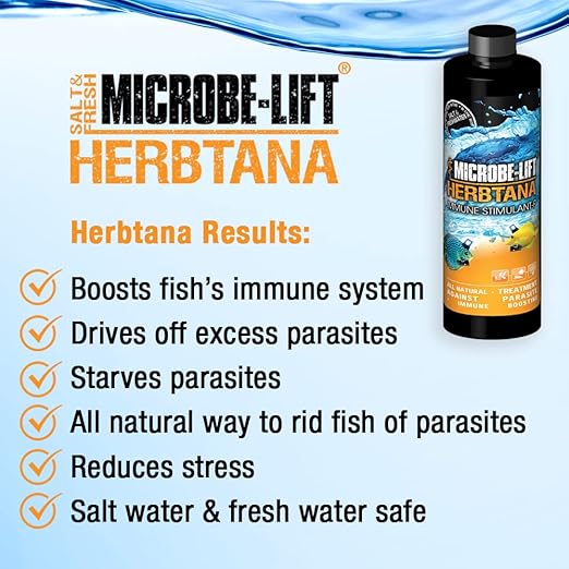 MICROBE-LIFT Herbtana Fish Medicine, Immune Booster and Parasite Treatment for Aquarium Fish Health, Ich Treatment, Use in Freshwater Tank or Saltwater Aquarium, 16 Ounces (HERB16)