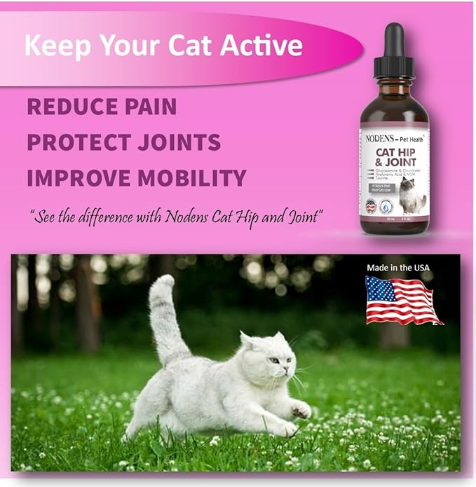 NODENS Cat Hip and Joint Liquid Glucosamine for Cats with Chondroitin – 100% Natural Cat Joint Supplement for Senior Cats Pain Relief Anti-inflammatory for Improved Joint Flexibility & Mobility 2oz