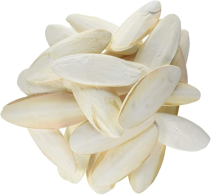 Prevue Pet Products 4 inch Bulk Cuttlebone - 25 per Box with Holder, Medium