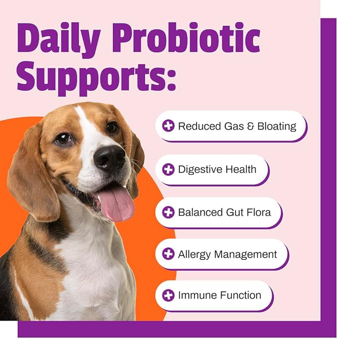 Pet Naturals Probiotics for Dogs – 60 Soft Chews, Dog Probiotic Chews for Digestive & Gut Health Support, 120M CFUs + Prebiotics, Immune Support for Occasional Upset Stomach, Duck Flavor, All Breeds