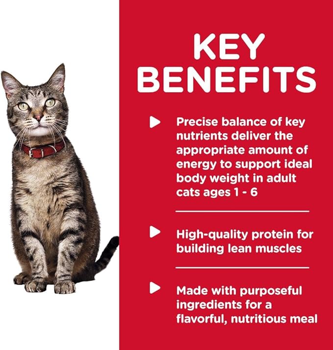 Hill's Science Diet Adult 1-6, Adult 1-6 Premium Nutrition, Wet Cat Food, Turkey Minced, 5.5 oz Can, Case of 24