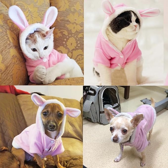 ANIAC Bunny Ears Cat Costume Plush Dog Hoodies with Pocket Sweater Cute Kitten Cat Clothes Warm Rabbit Ears Outfit with Hood for Small Dog Cat and Puppy (Pink-2, Medium)