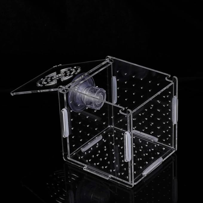 Fish Breeding Box- Box Hatchery Incubator Aquarium Fish Breeding Boxes Divider Hatching Boxes Accessory for Small Shrimp Clownfish Guppy-Small Suction Cup