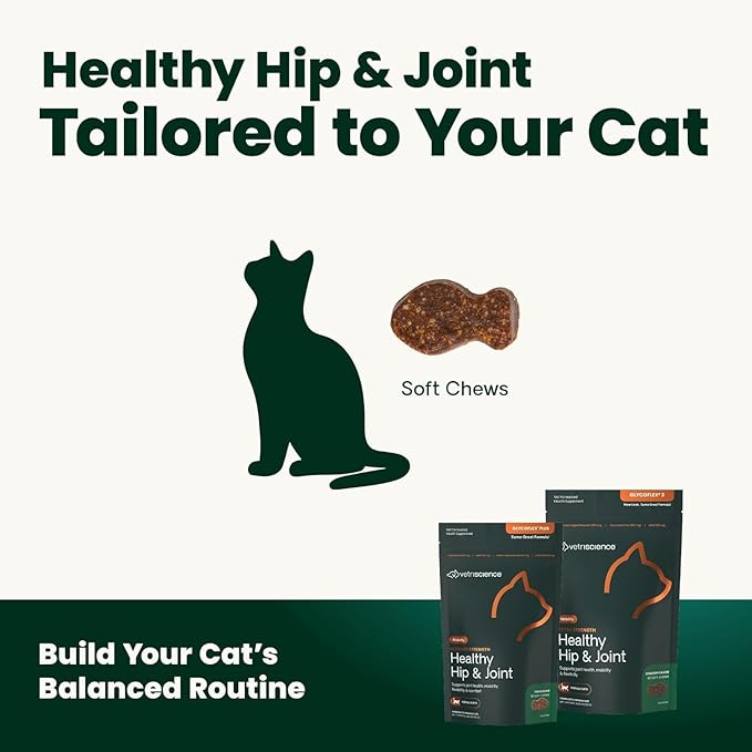 VetriScience Ultimate Strength Healthy Hip & Joint Chews, GlycoFlex Glucosamine, Chondroitin and Green-Lipped Mussel Joint Supplement for Cats, Soothe Joint Discomfort, Chicken, 30 Count