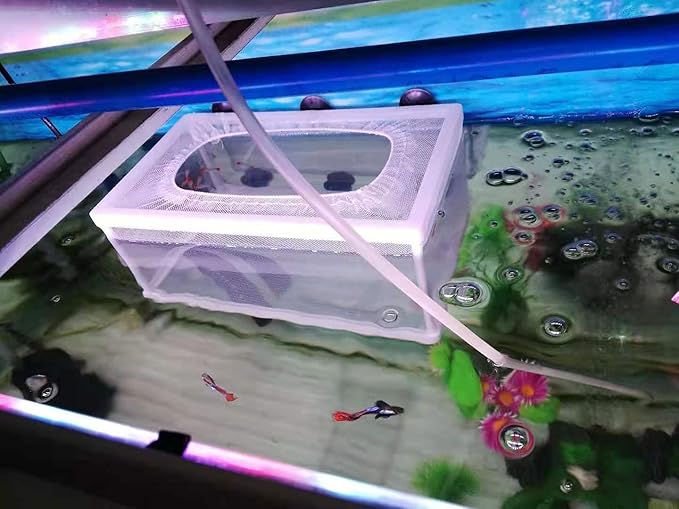 Fish Nursery for Aquarium-Fish，Aquarium Fish Breeder Box, Hatching Box, Juvenile Fish Spawning Incubator, Water Isolation Net Hatchery、Fish Isolation Box 25 x 14 x 15cm