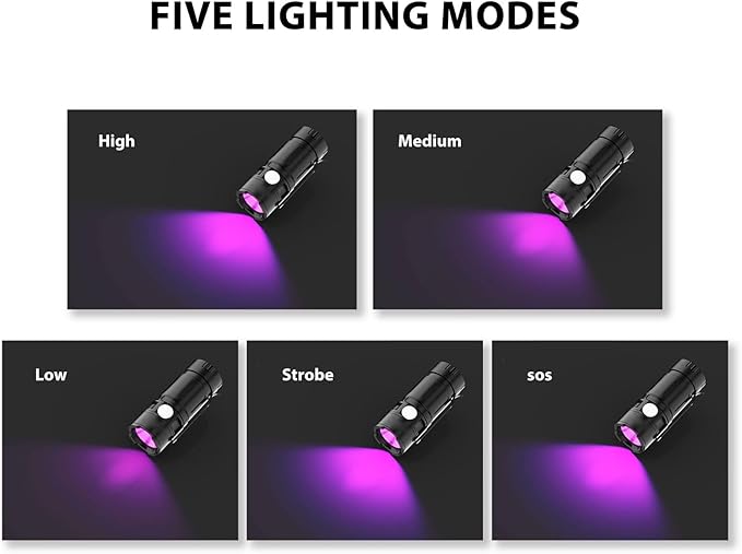 Fafeicy 395nm Black Light Flashlight Multiple Modes Small LED Torch Portable Pet Urine Detectors for Detecting Verifying Currency