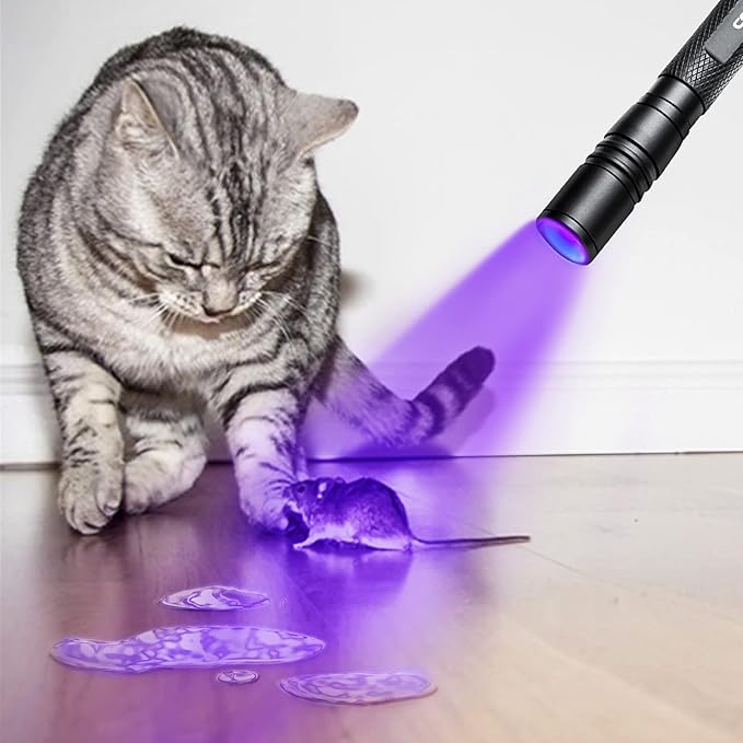 395nm UV Flashlight, Zoomable Blacklight with 2xAAA Battery Ultraviolet Flashlight Pet Urine Detector for Cat Dog Stains, Bed Bug, Household Toilet