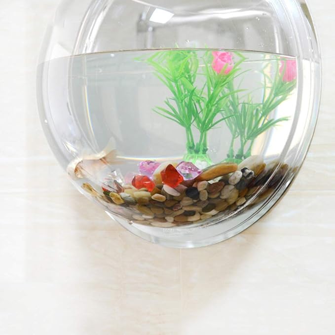 Wall Fish Bowl, Small Hanging Goldfish Fish Tanks, Clear Acrylic Betta Fish Tank, for Aquarium Wall Plant Pot Decoration Planter Flower
