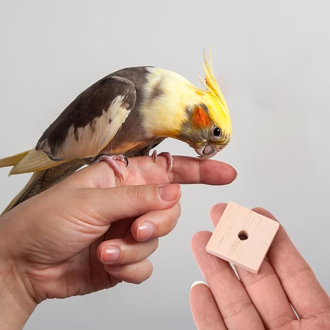 Housoutil Parrots Wooden Blocks, 100PCS Bird Toys, DIY Parrot Bite Wood Chips, Birds Cage Chewing Playing Training Toy for Cockatoos, Macaws, African Grey and Small Medium