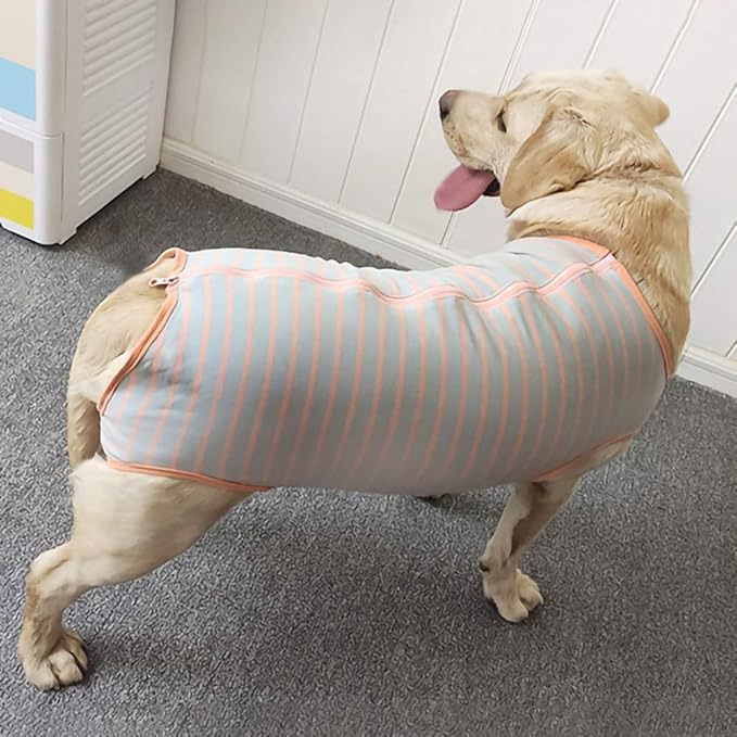 Dog’s Recovery Suit Post Surgery Shirt for Female Male Dog, E-Collar Alternative Wound Protective Clothes (Grey orange-5xl)