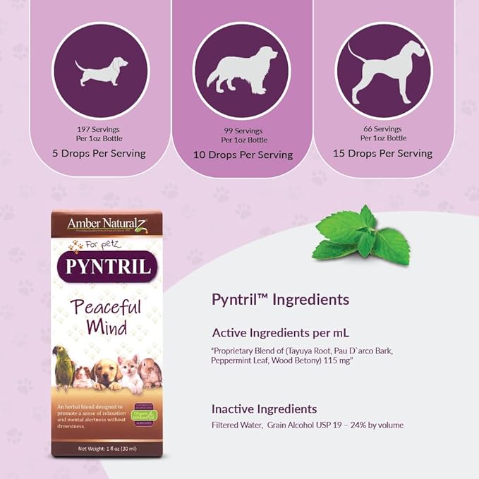 AMBER NATURALZ Pyntril Peaceful Mind Herbal Supplement for Dogs, Cats, Birds, Guinea Pigs, and Rabbits | Herbal Pet Supplement for Relaxation | 1 Fluid Ounce Glass Bottle | Manufactured in The USA