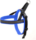 ComfortFlex Sport Dog Harness – No-Choke, Fully Padded, Non-Chafing Harness with Control Handle – Reflective, Lightweight, Adjustable for Active Dogs - XXLarge, Blue Jay