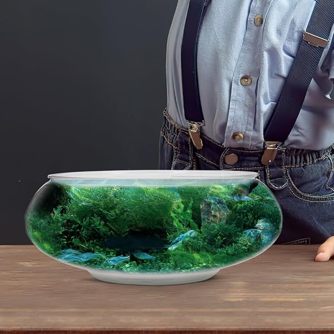 SUPVOX Plastic Fish Bowl Vase: 2pcs Round Bubble Bowl 2800ml Wide Mouth Air Plant Vase Desktop Terrarium Goldfish Tank for Aquarium Hydroponic Succulent Flower Planter