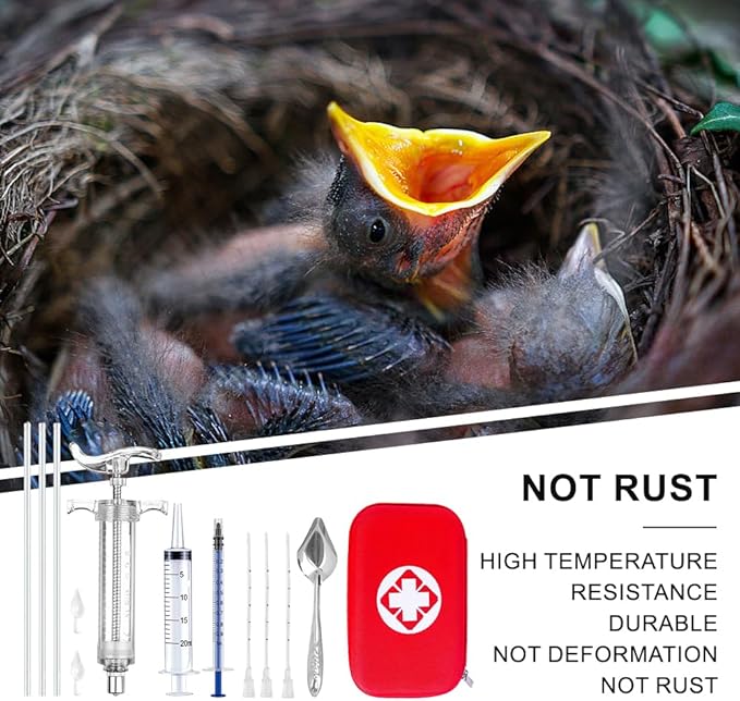 Bird Feeding Syringe Feeding Tubes for Baby Birds Parrot Hand Feeding Syringe with Curved Gavage Tubes and Stainless Steel Metal Feeding Spoon ( 9Pcs)