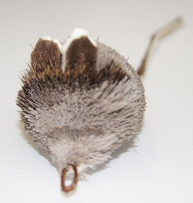 Fun Rat Pack Refill/Attachments- Fits Wildcat and Popular Bird and Mouse Type Wands/Poles