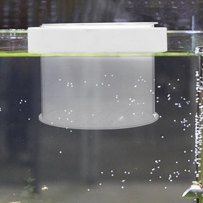 VANZACK Acrylic Fish Breeding -Sized Isolation Tank for Fry Acrylic Separator for Aquarium Fish Breeder Improved Survival Rate