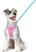 rabbitgoo Dog Harness Small Medium Sized and Leash Set, Step in Soft Light Puppy Vest, Breathable Mesh Pet Harness, Reflective for Safe Easy Walking, Blue & Light Pink XL